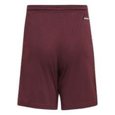 Adidas adidas Squadra 21 Short Junior kratke hlače GN8081