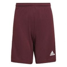 Adidas adidas Squadra 21 Short Junior kratke hlače GN8081