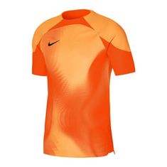 Nike Koszulka bramkarska Nike Dri-FIT ADV Gardien 4 M DH7760-819