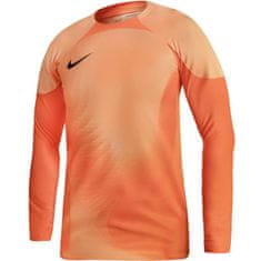 Nike Koszulka bramkarska Nike Gardien IV Goalkeeper JSY M DH7967 819