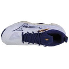 Mizuno Buty Mizuno Wave Momentum 3 M V1GA231243