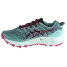 Asics Buty Asics GEL-Trabuco 10 W 1012B173-300