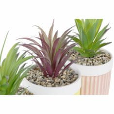 DKD Home Decor Okrasna rastlina DKD Home Decor Rumeno zelena PVC kamenina Korala (3 kosi) (10 x 10 x 18 cm)