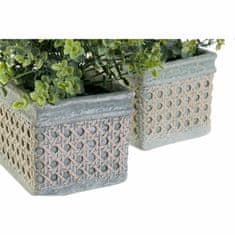 DKD Home Decor Okrasna rastlina DKD Home Decor Polietilen zelena smola (2 kosa) (19 x 19 x 27 cm)