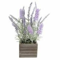 DKD Home Decor Okrasna rastlina DKD Home Decor Lilac polietilen (10 x 10 x 30 cm)