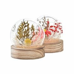 DKD Home Decor Dekorativna figura DKD Home Decor Crystal (11 x 11 x 13 cm) (2 enoti)