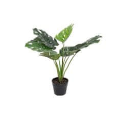 DKD Home Decor Okrasna rastlina DKD Home Decor Monstera Monstera Zelena PVC (65 x 65 x 60 cm)