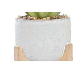 DKD Home Decor Okrasna rastlina DKD Home Decor Cement Bela Zelena PE (9,5 x 9,5 x 14 cm) (2 enoti)