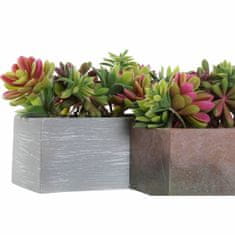 DKD Home Decor Okrasna rastlina DKD Home Decor Grey Brown Multicolor EVA PE (23,5 x 11 x 14,5 cm) (2 enoti)