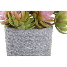 DKD Home Decor Okrasna rastlina DKD Home Decor Grey Beige EVA PE (14,5 x 14,5 x 16 cm) (2 enoti)