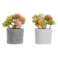 DKD Home Decor Okrasna rastlina DKD Home Decor Grey Beige Pink Green EVA PE (2 enoti) (12 x 10 x 14,5 cm)