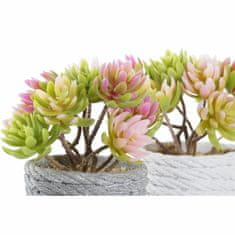 DKD Home Decor Okrasna rastlina DKD Home Decor Grey Beige Pink Green EVA PE (2 enoti) (12 x 10 x 14,5 cm)