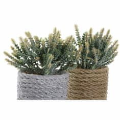 DKD Home Decor Okrasna rastlina DKD Home Decor Grey Brown Green EVA PE (11 x 12 x 14 cm) (2 enoti)