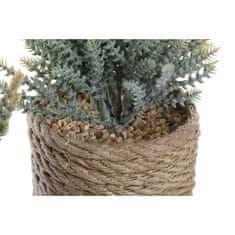 DKD Home Decor Okrasna rastlina DKD Home Decor Grey Brown Green EVA PE (11 x 12 x 14 cm) (2 enoti)