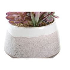 DKD Home Decor Okrasna rastlina DKD Home Decor Pink Brown White Green Stoneware PE (14,5 x 12 x 21 cm) (2 enoti)