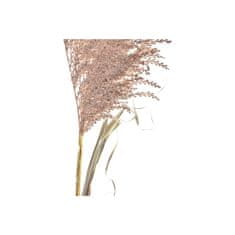 DKD Home Decor Šopki DKD Home Decor Brush Beige Brown PE (20 x 10 x 100 cm) (2 enoti)