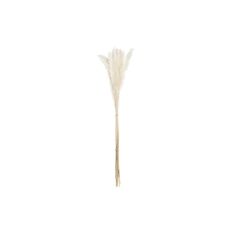 DKD Home Decor Okrasna rastlina DKD Home Decor Čopič Pampas White (9 x 3 x 78 cm)