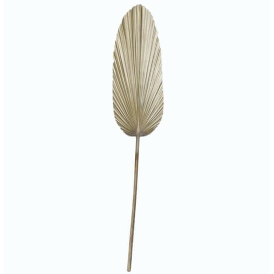 DKD Home Decor Dekorativna rastlina DKD Home Decor List svetleče palme (27 x 2 x 150 cm)