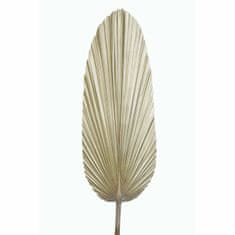 DKD Home Decor Dekorativna rastlina DKD Home Decor List svetleče palme (27 x 2 x 150 cm)