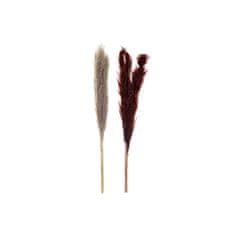 DKD Home Decor Okrasna rastlina DKD Home Decor Beige Burgundy (7 x 7 x 120 cm) (2 enoti)