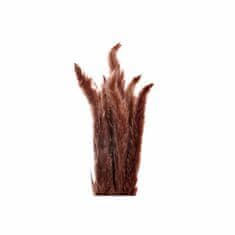 DKD Home Decor Okrasna rastlina DKD Home Decor Beige Brown (3 x 3 x 65 cm) (2 enoti)