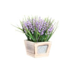 DKD Home Decor Okrasna rastlina DKD Home Decor Lilac MDF PE (24 x 24 x 24 cm)