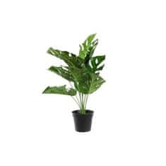 DKD Home Decor Okrasna rastlina DKD Home Decor Monstera Zelena PP PE (48 x 42 x 51 cm)