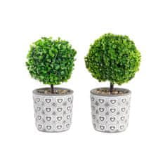 DKD Home Decor Okrasna rastlina DKD Home Decor Grey Green Resin PE (10,5 x 10,5 x 25 cm) (2 enoti)