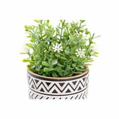 DKD Home Decor Okrasna rastlina DKD Home Decor Črni cement Bela Zelena PE (2 enoti) (10 x 10 x 15 cm)