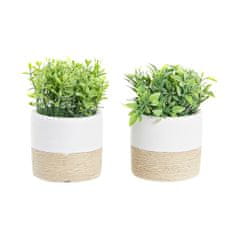 DKD Home Decor Okrasna rastlina DKD Home Decor Natural Cement White Green PE (2 enoti) (10 x 10 x 16 cm)