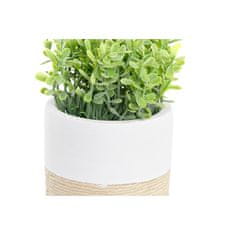 DKD Home Decor Okrasna rastlina DKD Home Decor Natural Cement White Green PE (2 enoti) (10 x 10 x 16 cm)