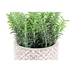 DKD Home Decor Okrasna rastlina DKD Home Decor Cement PE (2 enoti) (12 x 12 x 18 cm)