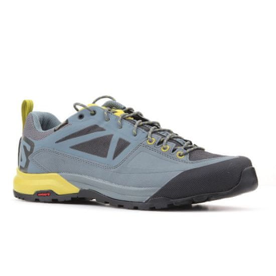 Salomon Buty Salomon X Alp SPRY GTX M 401621