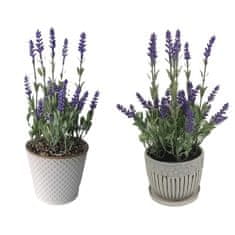 DKD Home Decor Okrasna rastlina DKD Home Decor Lavendar Ceramic PE (2 enoti) (11 x 11 x 28 cm)