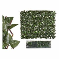 BigBuy Okrasna rastlina Zelena plastika (200 x 4 x 100 cm)