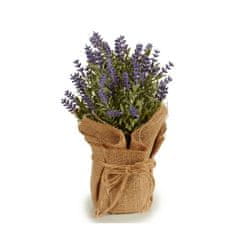 BigBuy Okrasna rastlina Lavendar Vijolična pluta iz plastike (13 x 25 x 13 cm)