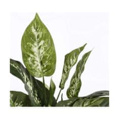 Mica Decorations Okrasne rastline sljude Okraski Dieffenbachia Dieffenbachia Zelena PVC (15,7 x 70 cm)