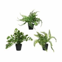 BigBuy Dekorativna rastlina Everlands Fern 25 x 25 x 30 cm Plastika