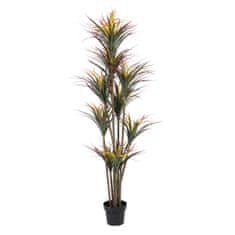 BigBuy Okrasna rastlina 70 x 75 x 180 cm Rdeče zelena PVC Yucca