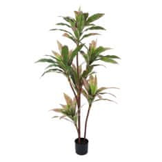 BigBuy Okrasna rastlina 160 cm Dracaena zelena