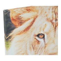 DKD Home Decor Slikarstvo DKD Home Decor Tiger Platno Tiger Colonial (40 x 1,8 x 40 cm) (4 enote)