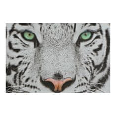 DKD Home Decor Slikarstvo DKD Home Decor Tiger Platno Tiger Colonial (40 x 1,8 x 40 cm) (4 enote)