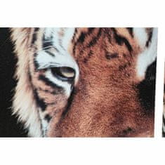 DKD Home Decor Slikarstvo DKD Home Decor Tiger Pinewood Canvas (5 kosov) (2 kosa)