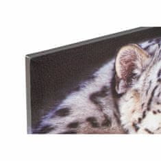 DKD Home Decor Slika DKD Home Decor Tiger Colonial (80 x 1,8 x 40 cm) (2 enoti)