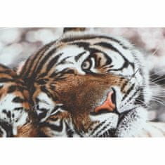 DKD Home Decor Slika DKD Home Decor Tiger Colonial (80 x 1,8 x 40 cm) (2 enoti)