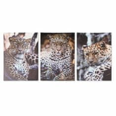 DKD Home Decor Slika DKD Home Decor Leopard Kolonialni (50 x 1,8 x 70 cm)