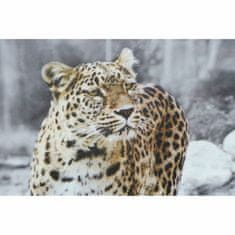 DKD Home Decor Slika DKD Home Decor Leopard Kolonialni (50 x 1,8 x 70 cm) (4 enote)