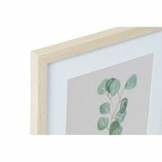 DKD Home Decor Slikarstvo DKD Home Decor Plant (35 x 2 x 45 cm) (4 enote)