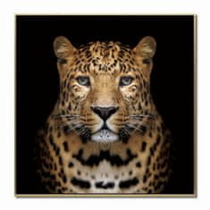 DKD Home Decor Slikarstvo DKD Home Decor S3018275 Lion Colonial (83 x 3,5 x 83 cm) (2 enoti)