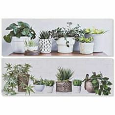 DKD Home Decor Slikarstvo DKD Home Decor Plant (90 x 1,8 x 30 cm) (2 enoti)